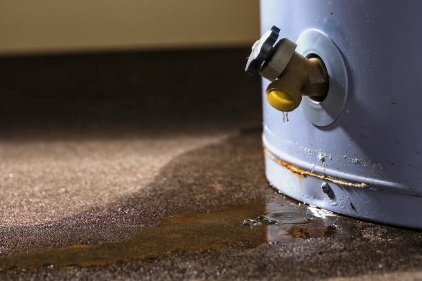 Best 24/7 water damage repair  in Farmersburg, IN