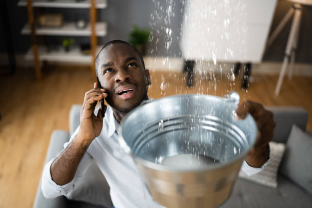 Best Local water damage restoration  in Farmersburg, IN