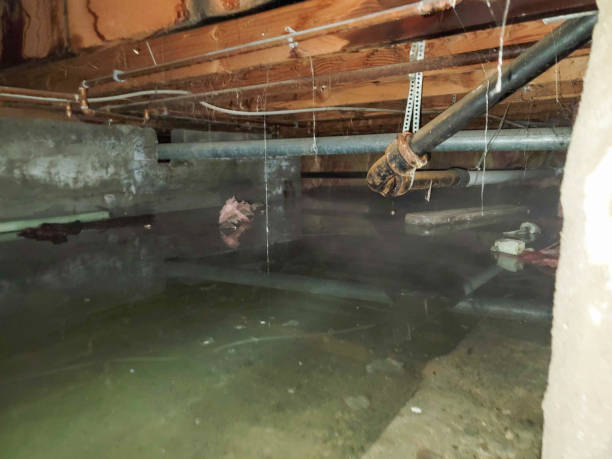 Best Residential water damage restoration  in Farmersburg, IN