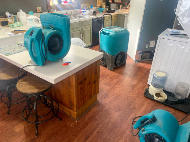 Professional Water damage restoration in IN
