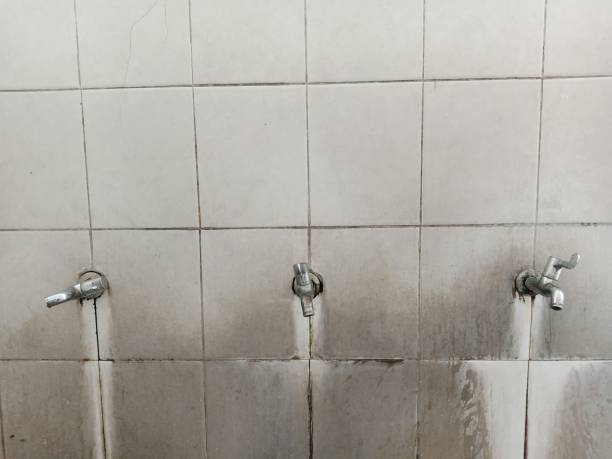 Best Water damage cleanup near me  in Farmersburg, IN