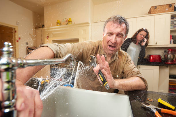 Best Professional water damage repair  in Farmersburg, IN